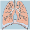 Respiratory Journey Interactive